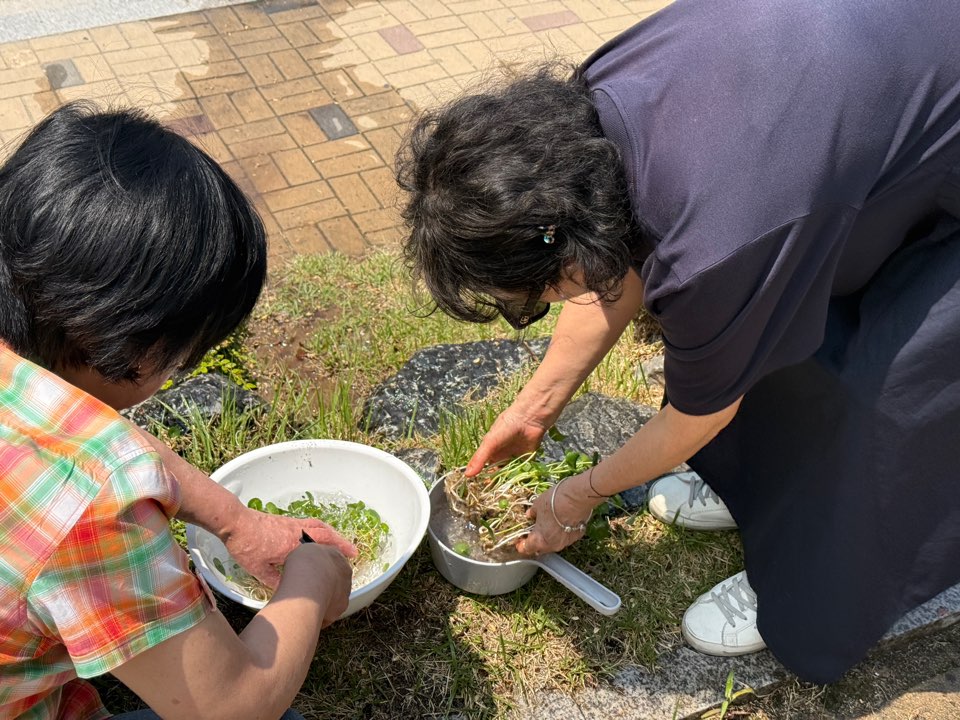 KakaoTalk_20260701_171643755.jpg