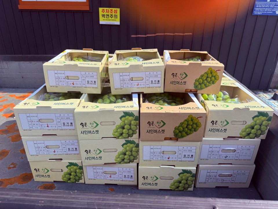 KakaoTalk_20260918_172906155.jpg