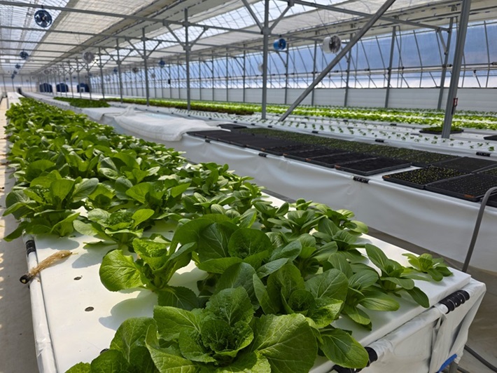 [후원] 청년농부 부부의 특별한 후원 ♥