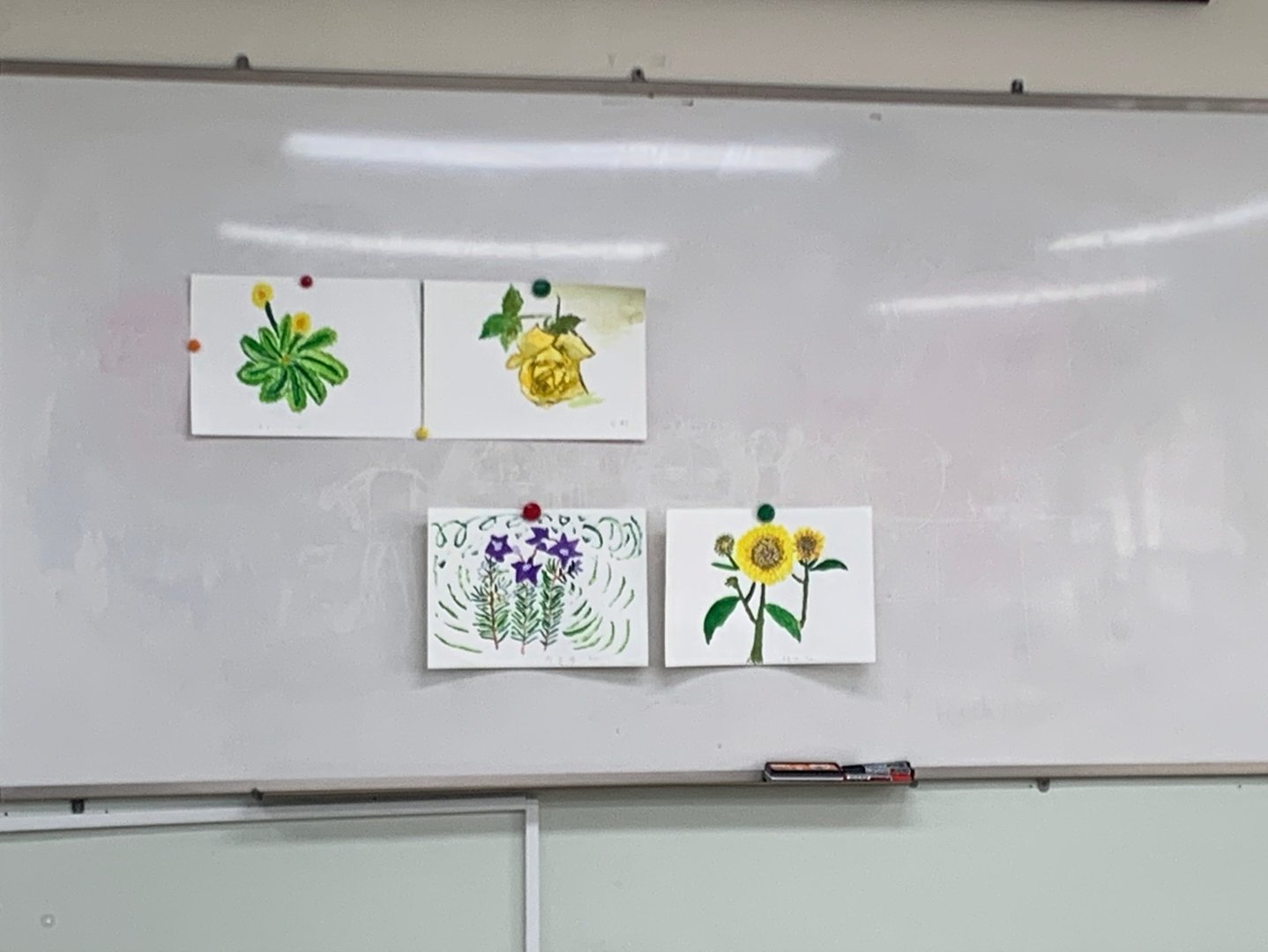 KakaoTalk_20210423_104450143_07.jpg