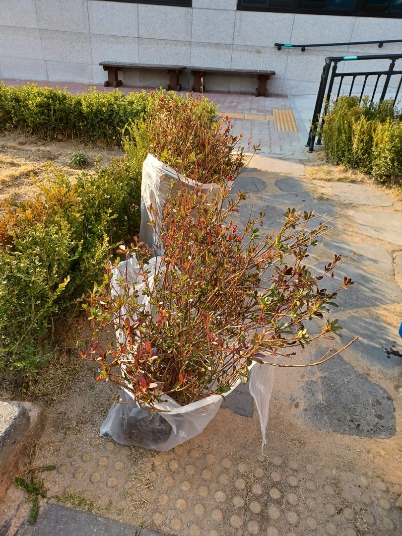 KakaoTalk_20220404_172039117.jpg
