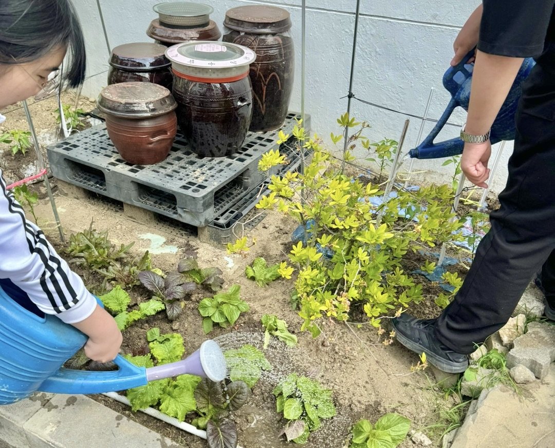 KakaoTalk_20240528_113835800_03.jpg