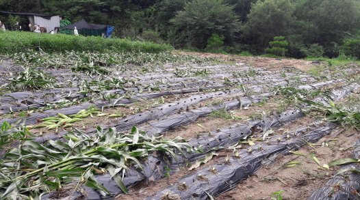 20170711_130705.jpg
