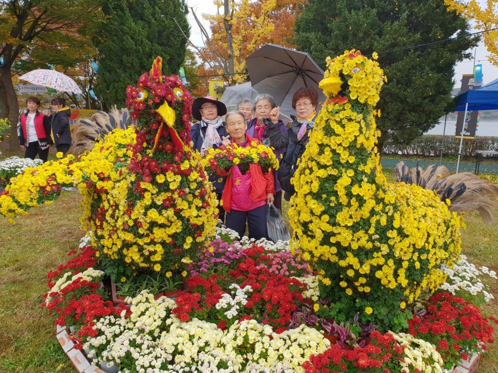 20181026_115700.jpg