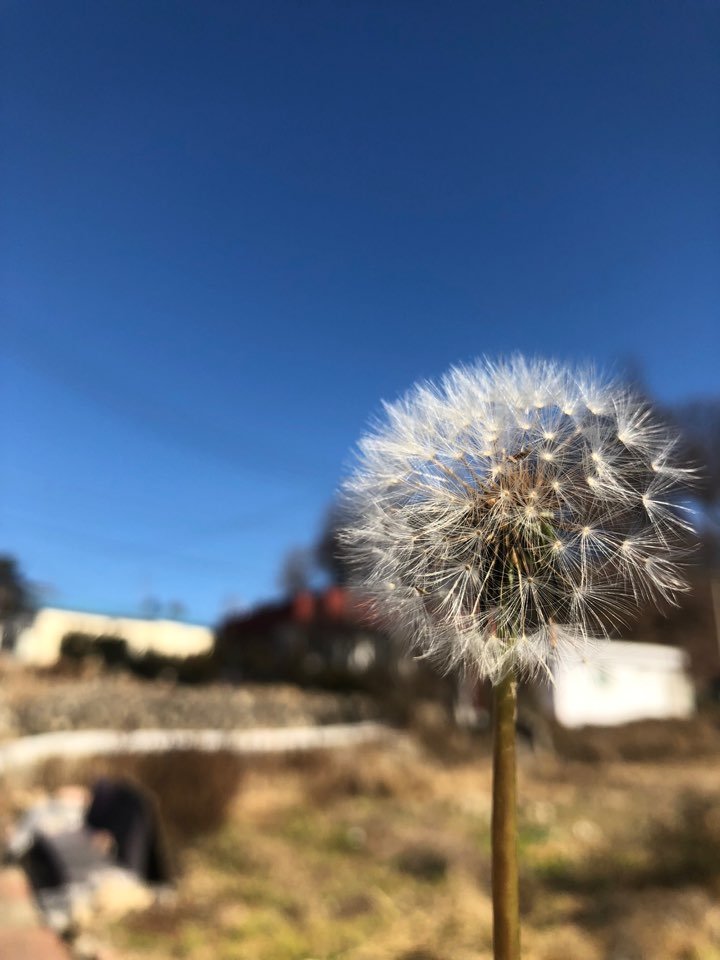 KakaoTalk_20181128_135946454.jpg