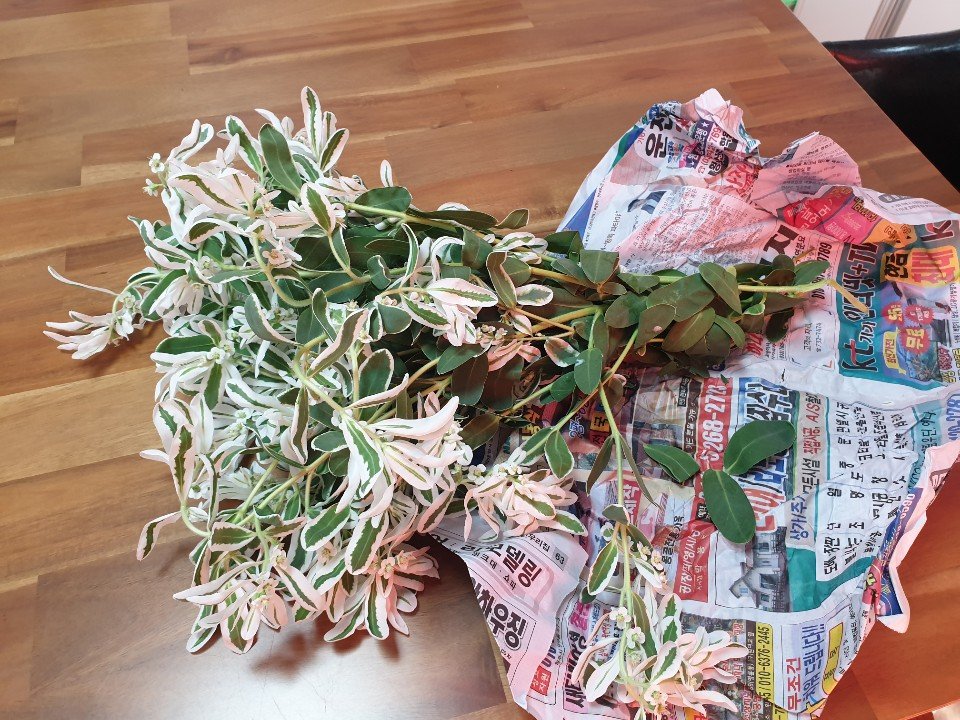 2019.10.11 권영희어르신이 주신것.jpg