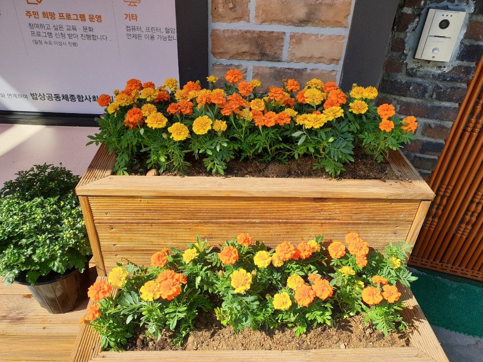 KakaoTalk_20191004_145604284_06.jpg