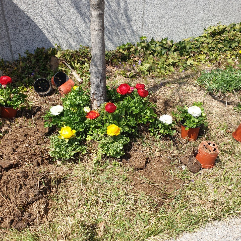KakaoTalk_20200406_132710679.jpg