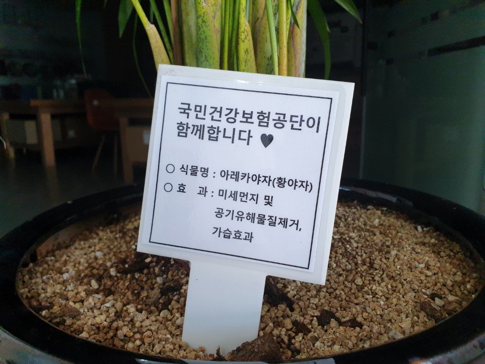 KakaoTalk_20200507_131019583_01.jpg