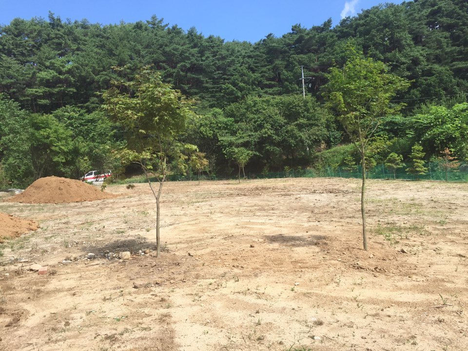 KakaoTalk_20160708_175556631.jpg