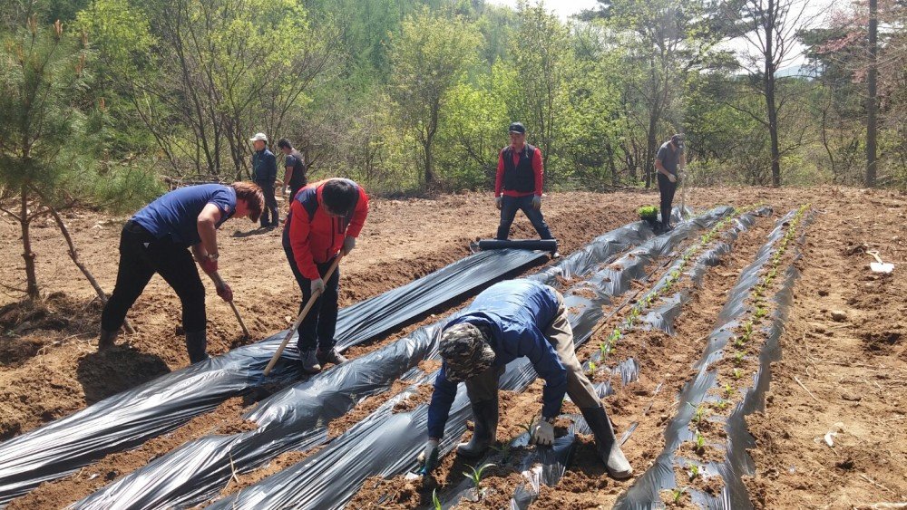 KakaoTalk_20160419_142358798.jpg