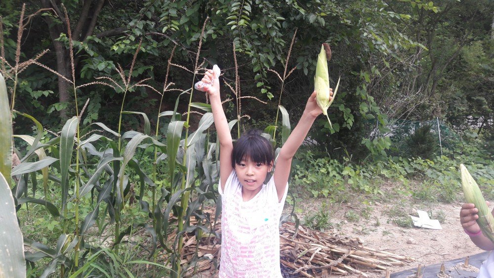 20160726_112049.jpg