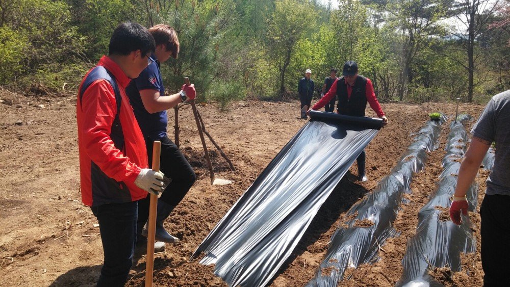 KakaoTalk_20160419_142402856.jpg