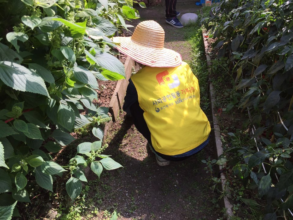 KakaoTalk_20161010_110258751.jpg