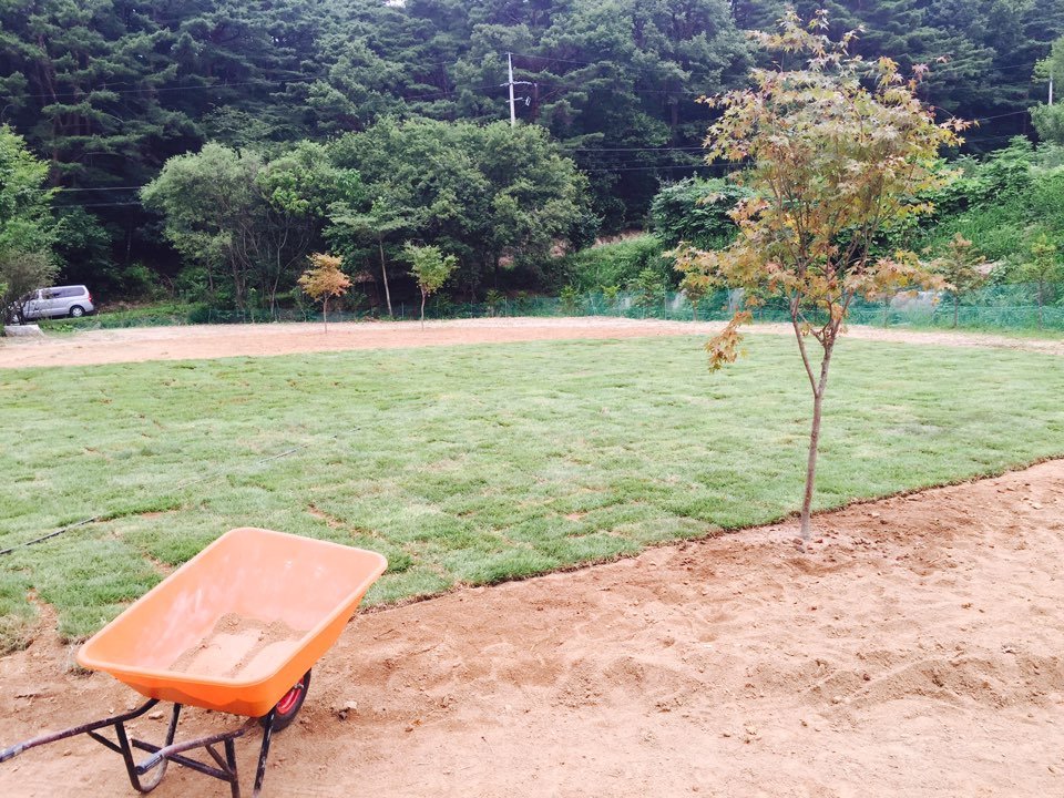 KakaoTalk_20160723_133014232.jpg