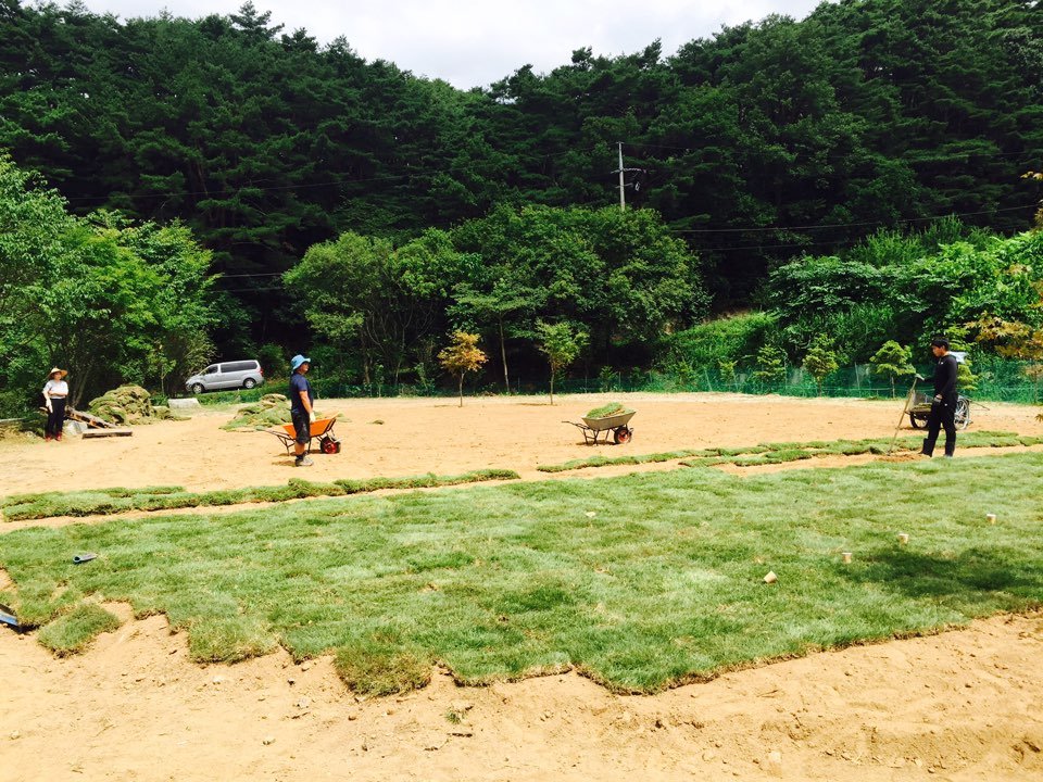 KakaoTalk_20160723_133009877.jpg